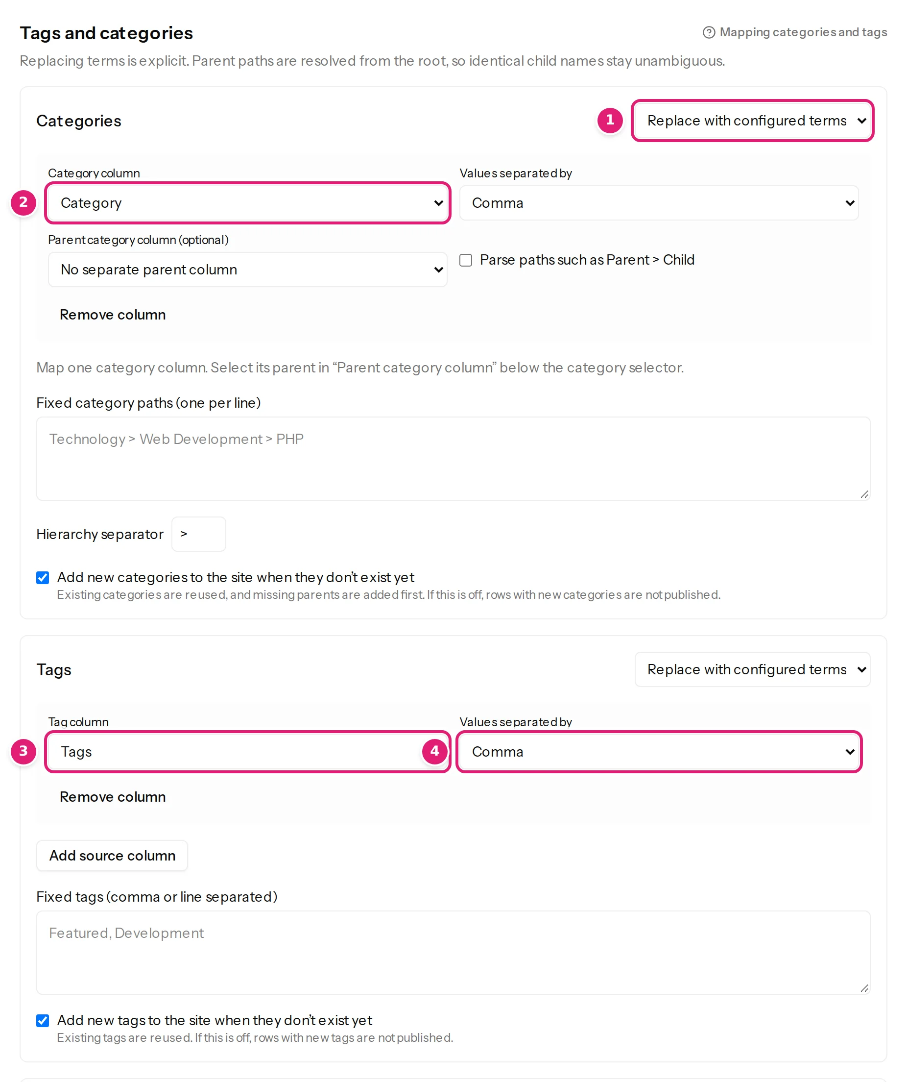The categories and tags settings with the tag column and its separator marked