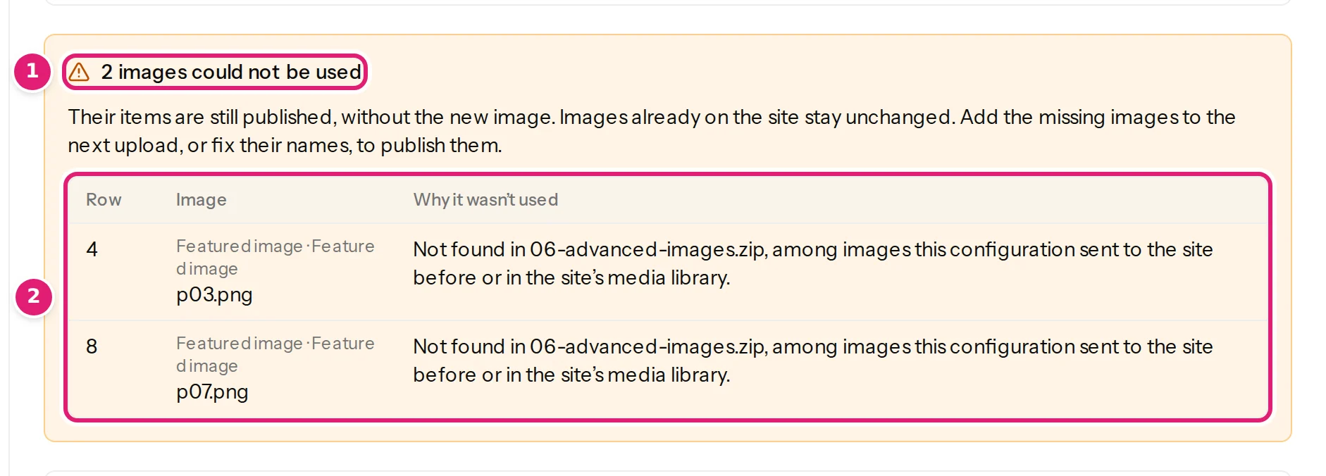 The review box that lists the images that could not be used, with each row, image and reason